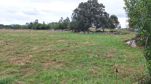 Finca rustica en Escalante