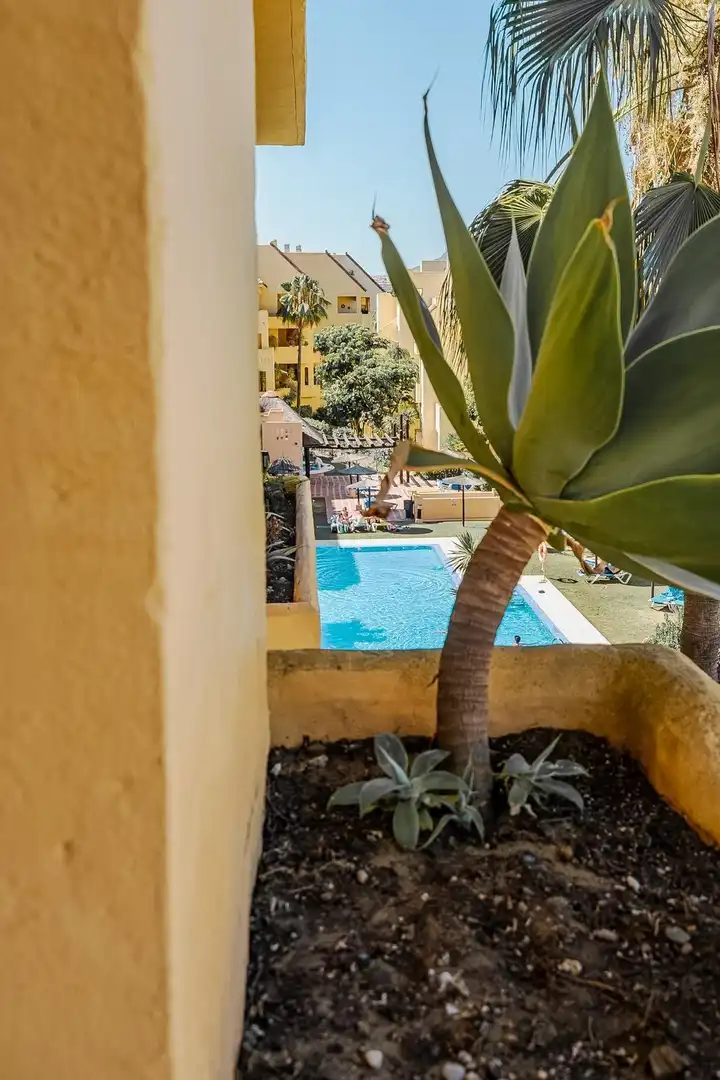 Apartament amb piscina en venda a Chullera, imagen 13