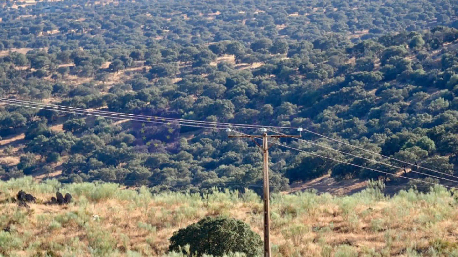 Houses for sale in Cáceres Capital