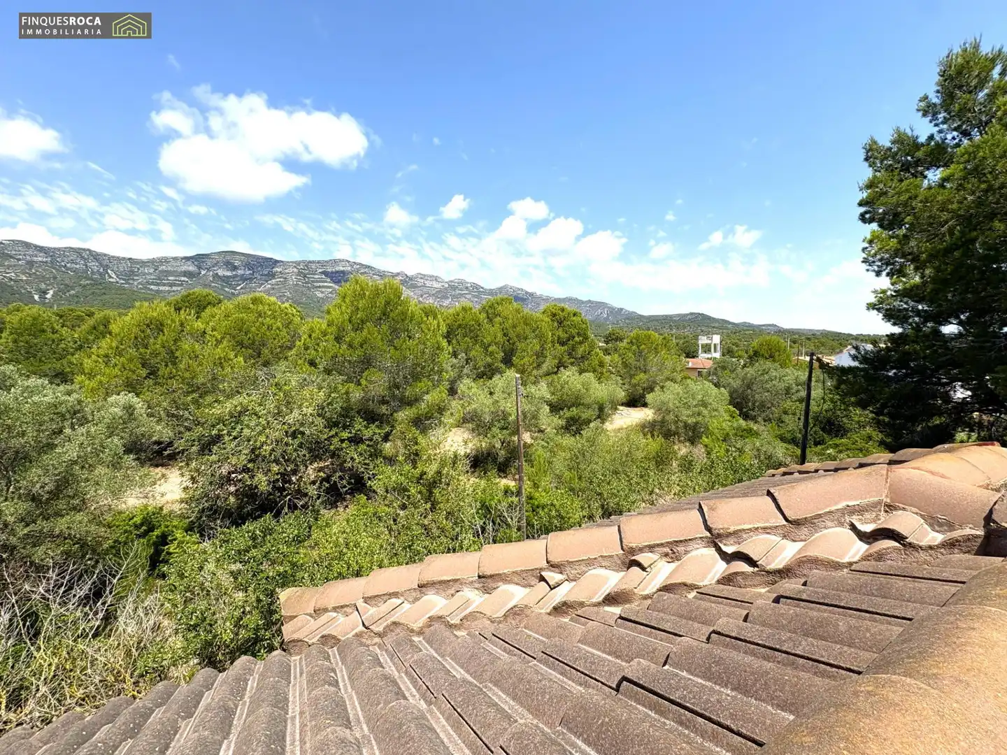 Jardí de Casa o xalet en venda en Alcanar amb Aire condicionat, Calefacció i Jardí privat
