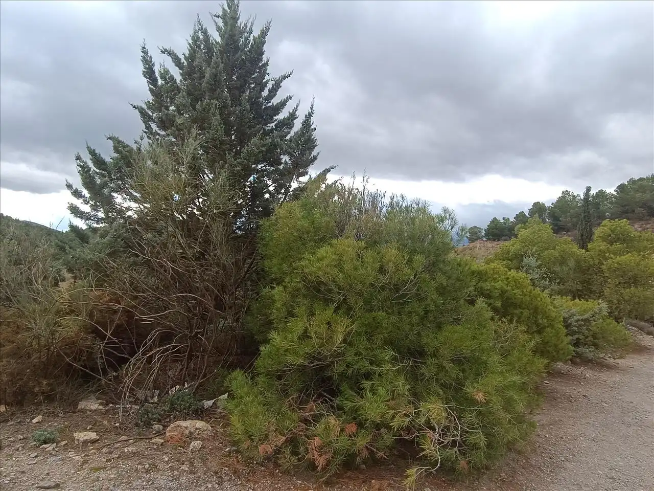 Terreno en venta en Carataunas