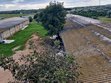 Terreno rustico in vendita a Polígono 55
