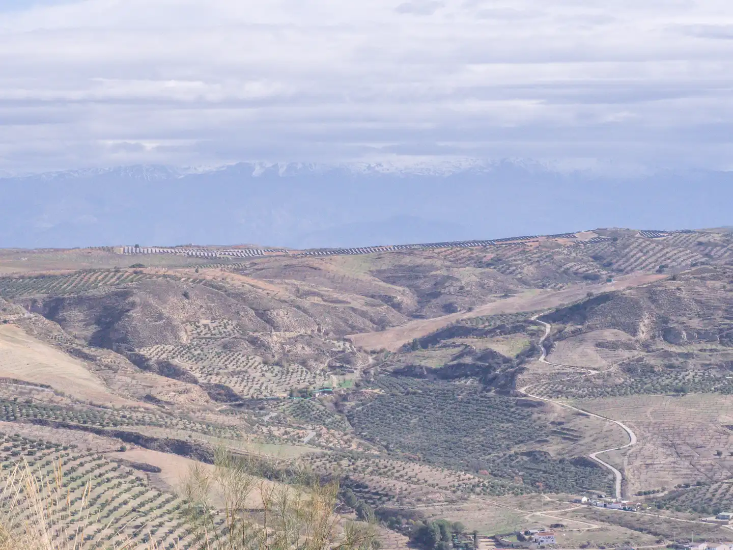 Außenansicht von Grundstücke zum Verkauf in Alhama de Granada