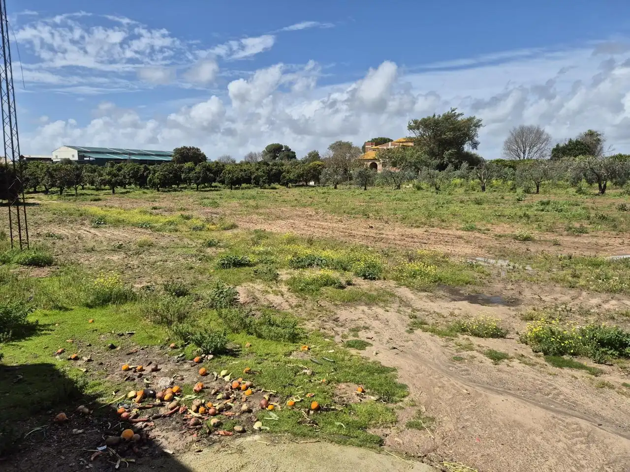 Casa o chalet en venta en Coria del Río