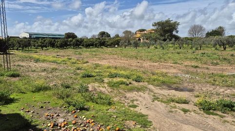 Foto 2 de Casa o chalet en venta en Coria del Río, Sevilla