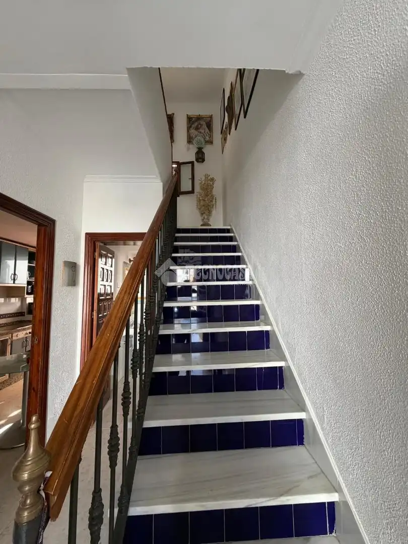 Houses for rent in Torre Cruz - Los Molinos