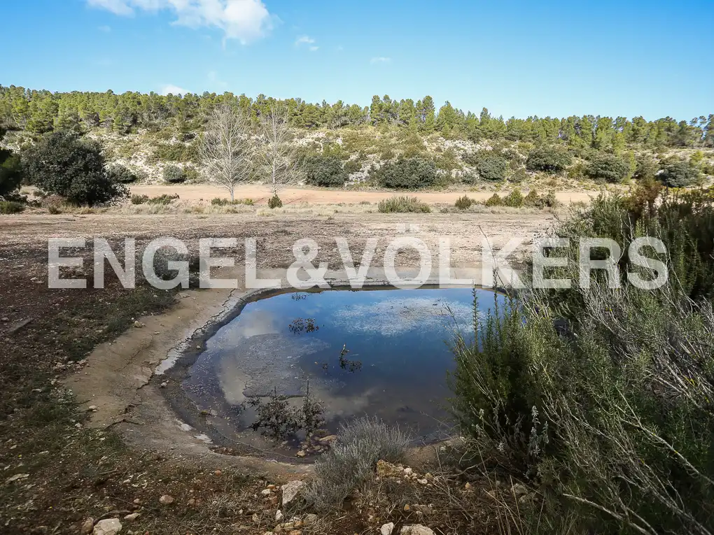 Finca rústica en venda en Ayora amb Calefacció, Jardí privat i Terrassa