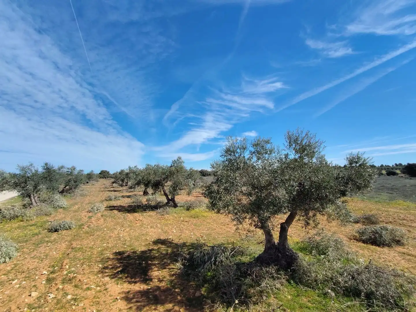 Grundstücke zum Verkauf in Arganda del Rey