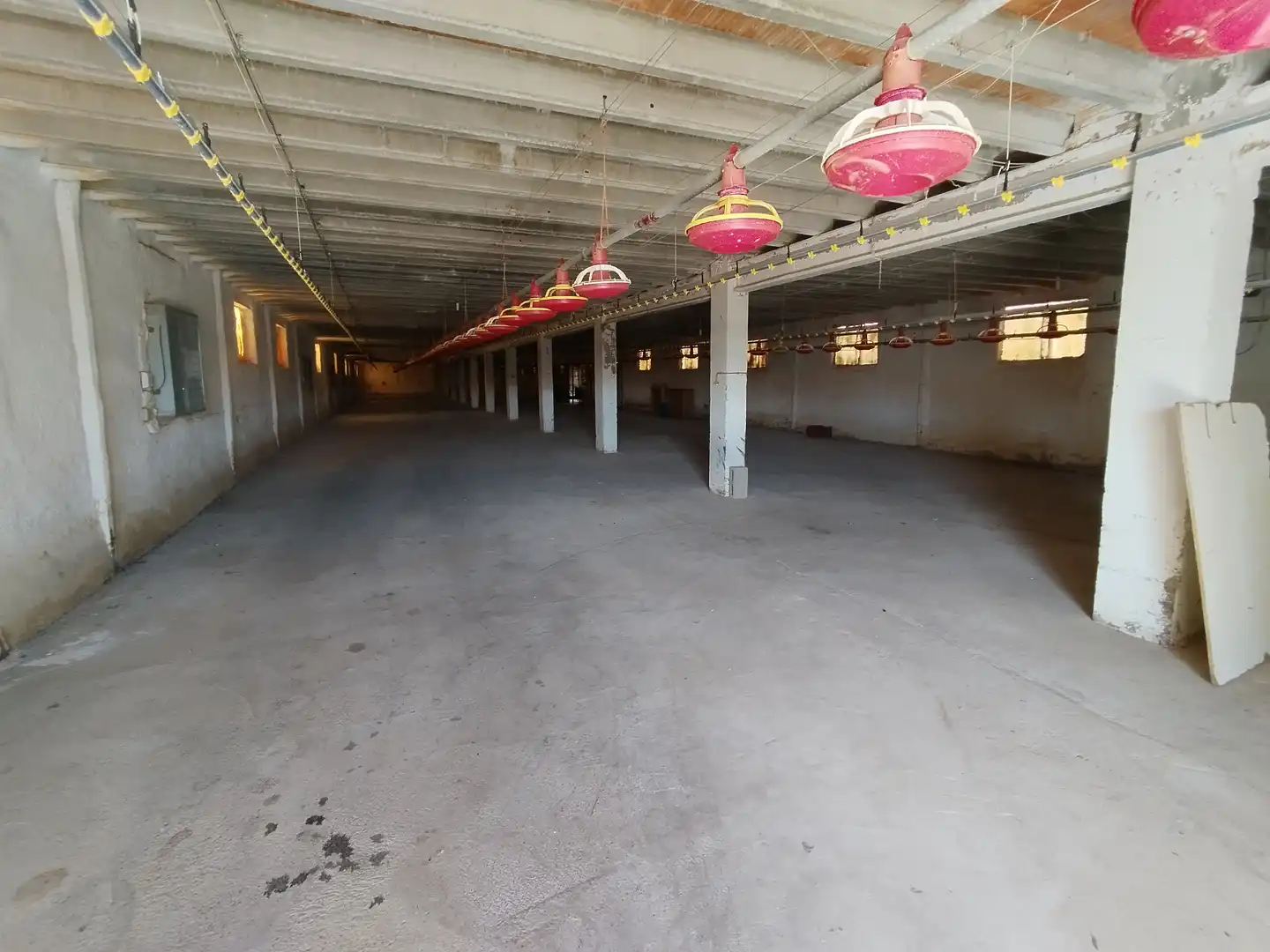Industrial building to rent in Camino Masarrabal 14, imagen 3