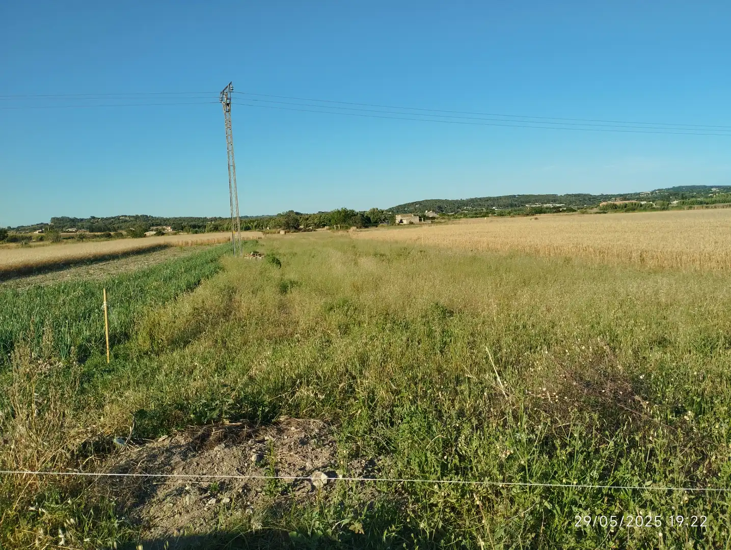 Terreno rustico in vendita a Montuïri, imagen 4