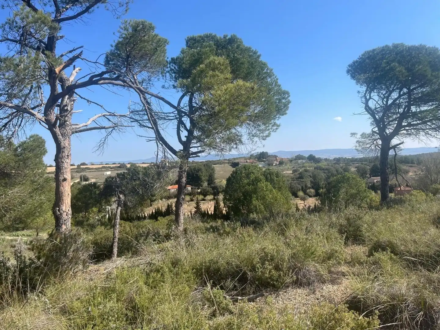 Terreni e lotti in vendita a Almansa, imagen 7
