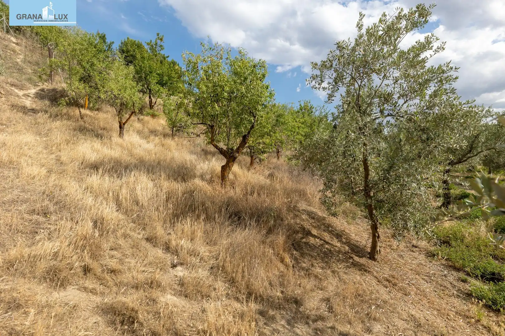Terreno rustico in vendita a Calle POL 1, PARC 176, imagen 13