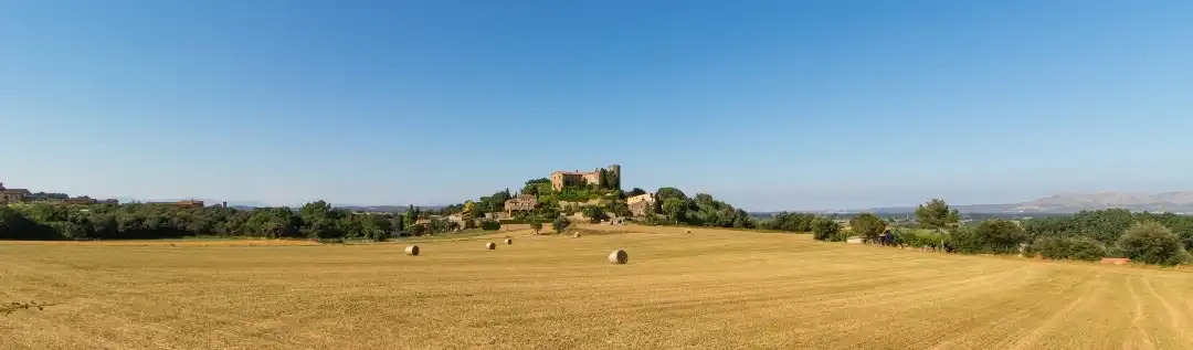 Finca rústica en venda a Carrer de Cuells, Foixà