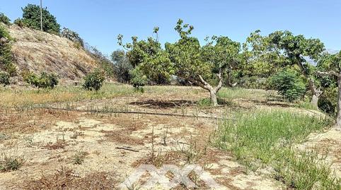 Foto 4 de Finca rústica en venda a N/a, Viña Málaga, Málaga