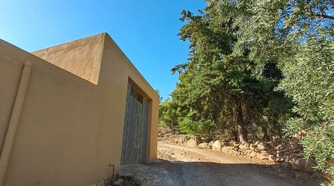 Foto 3 de Finca rústica en venta en Alcolea, Almería