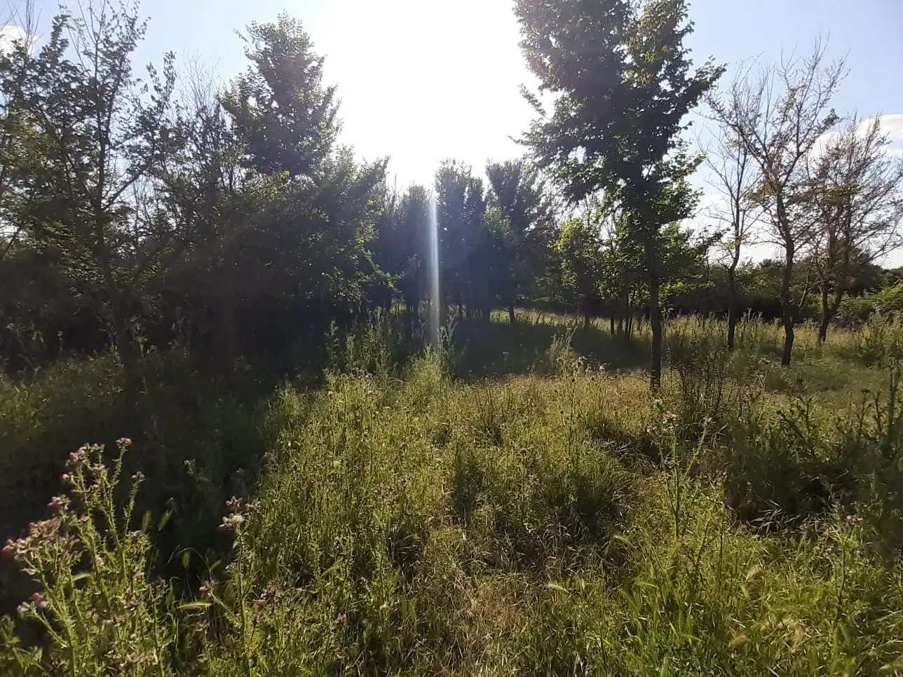 Local en venta en Pereruela