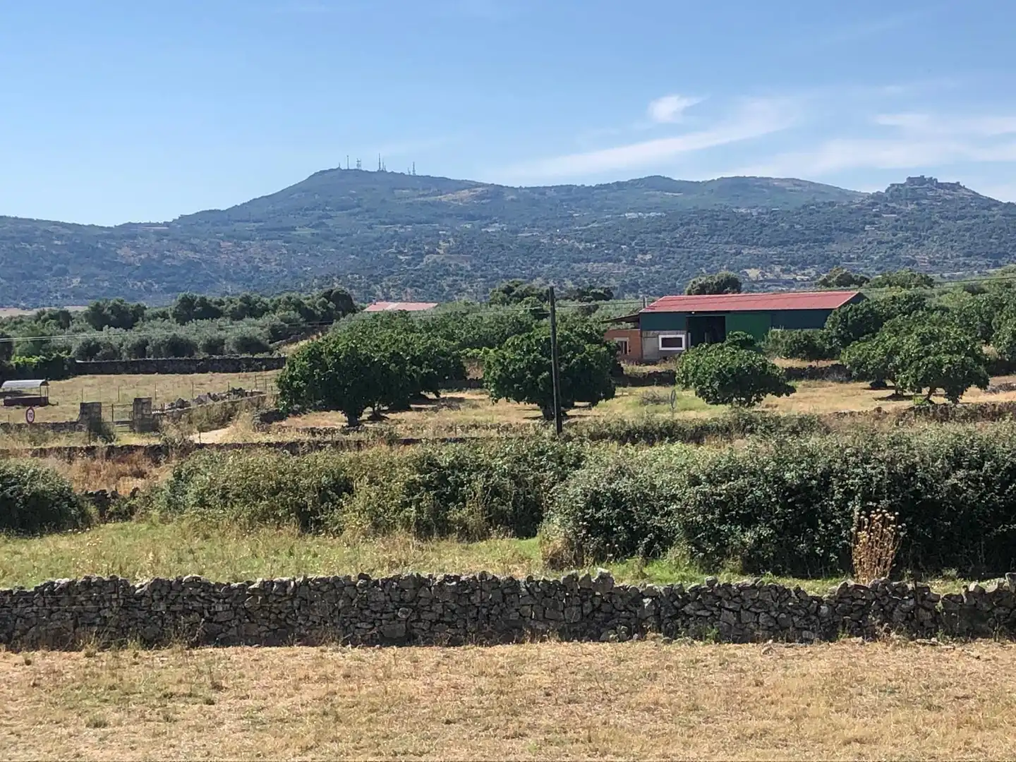 Buildings for sale in Albalá