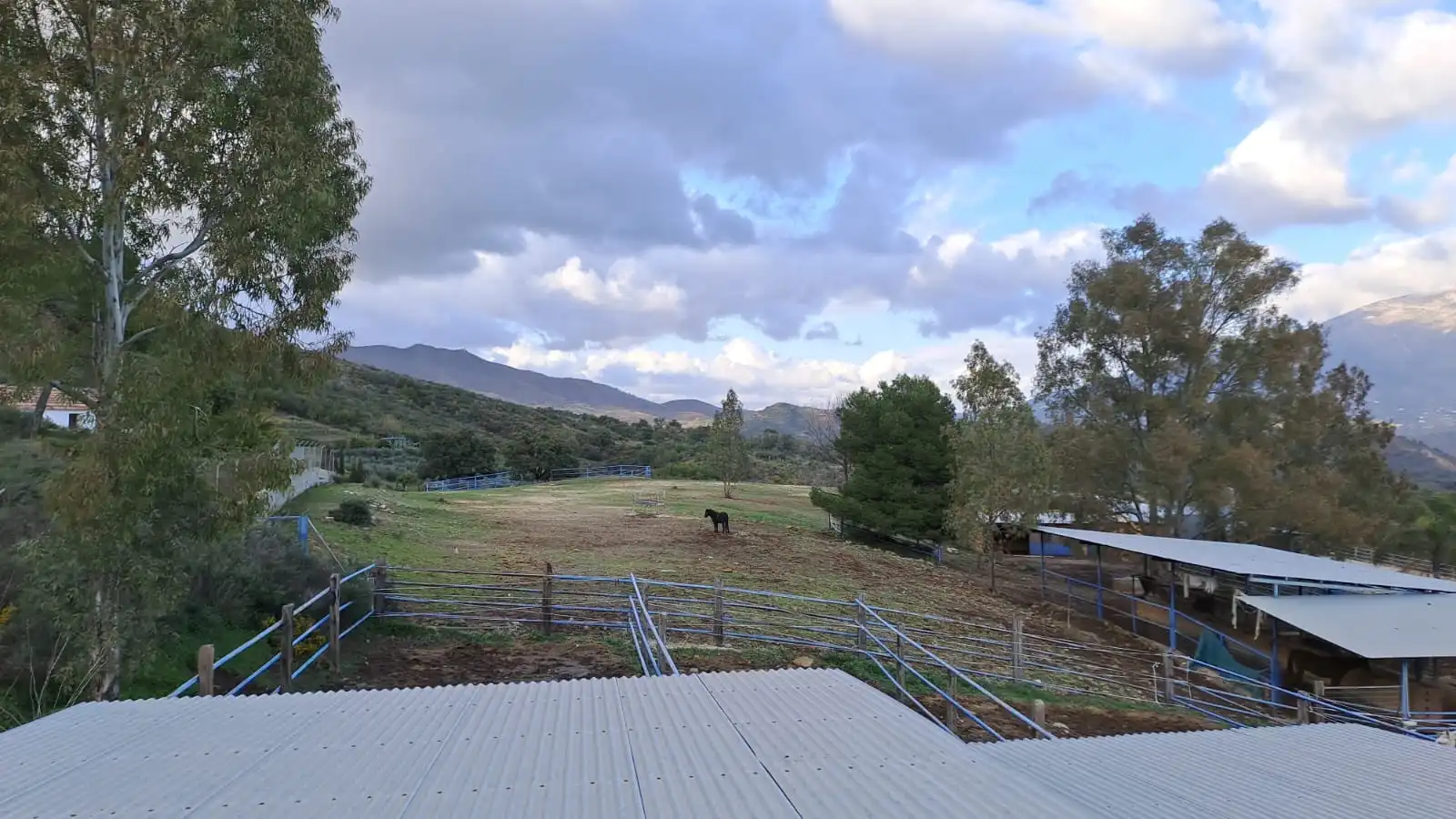 Vista exterior de Finca rústica en venda en Mijas