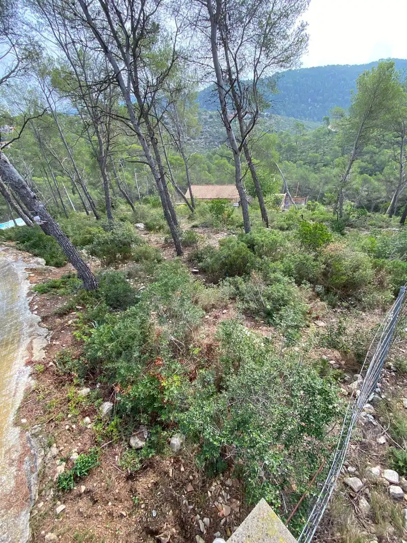 Wohnbaugrundstück zum Verkauf in Olivella, imagen 3