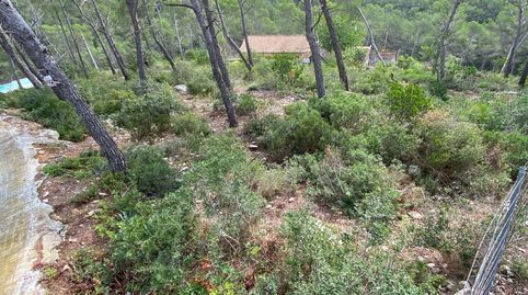 En venta 5 parcelas juntas, immagine 3