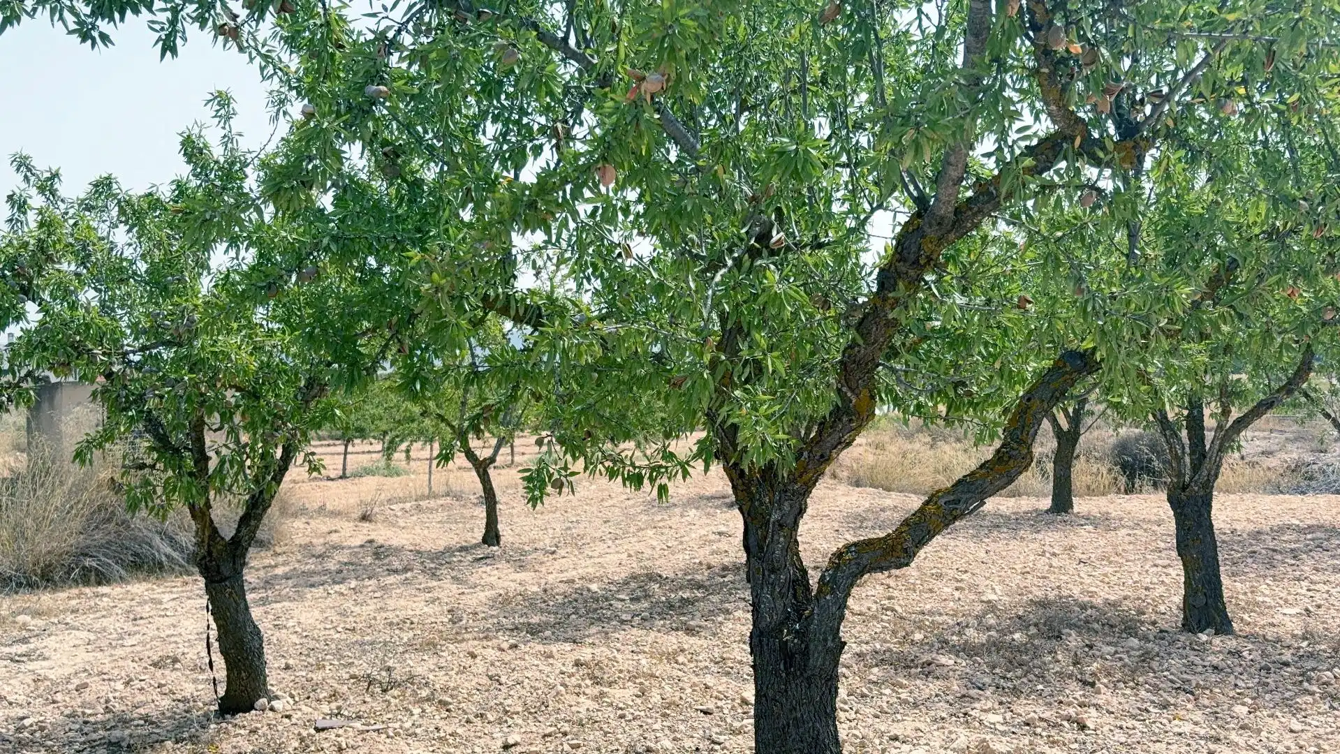 Country house for sale in Camino Ch Xirivell