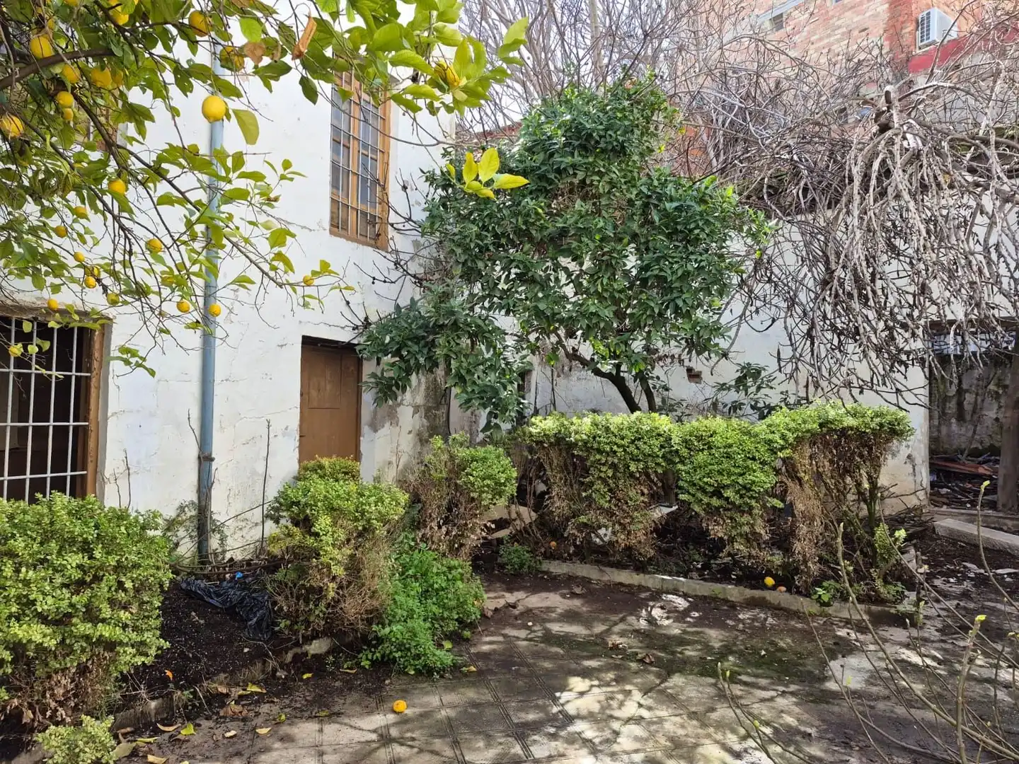 Exterior view of Detached homes for sale in Loja  with Terrace