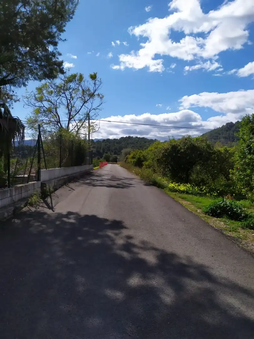 Rural land for sale in Camino Preventorio caseta del senyoret, imagen 3
