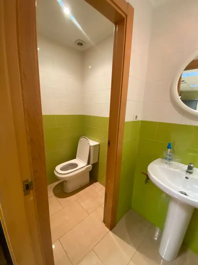 Bathroom of Commercial properties for rent in Barakaldo 