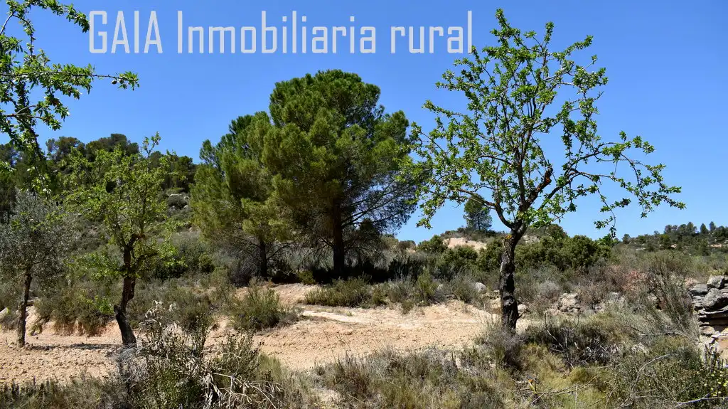 Finca rústica en venta en Mazaleón