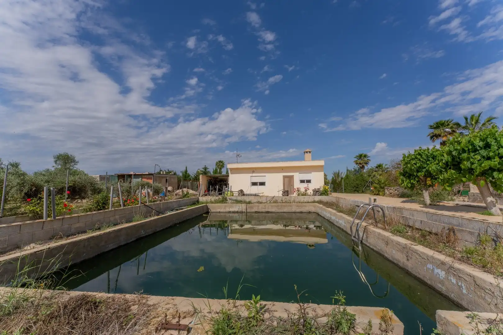Piscina de Casa o xalet en venda en Crevillent amb Piscina