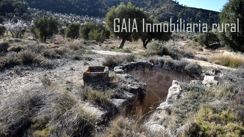 Casa rústica en venda a Maella, imagen 16