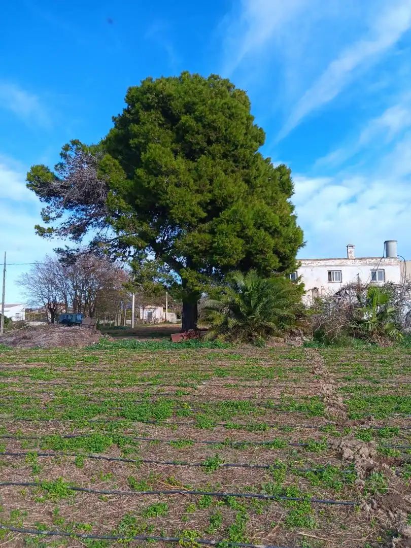 Maison à vendre à Roquetes