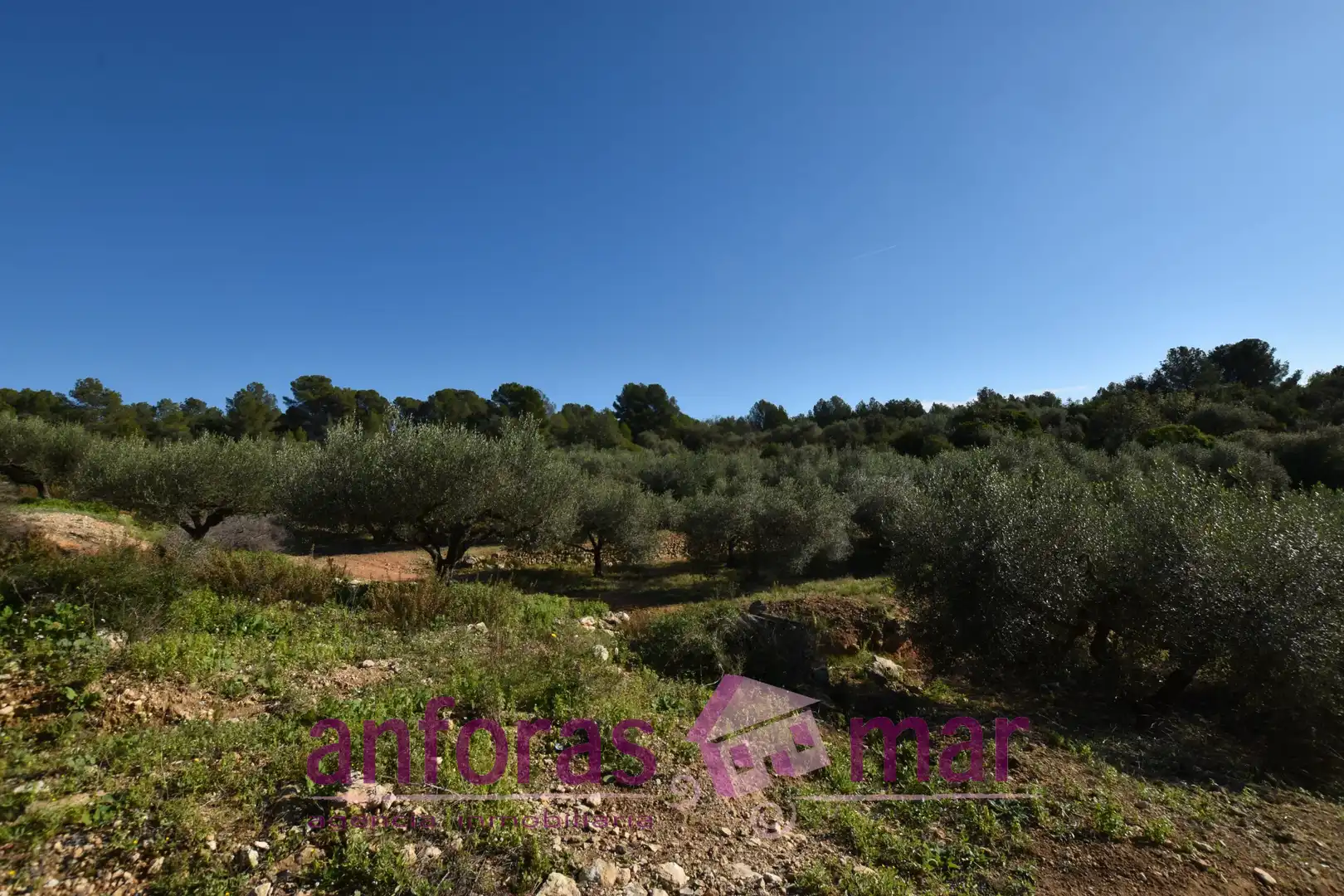 Terreno rustico in vendita a Urbanitzacions de Llevant