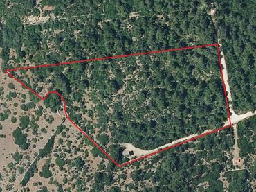 Rustikales Grundstück zum Verkauf in Cala Morell
