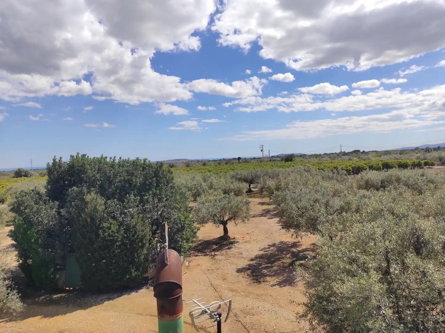Terreno rustico in vendita a Traiguera, imagen 18