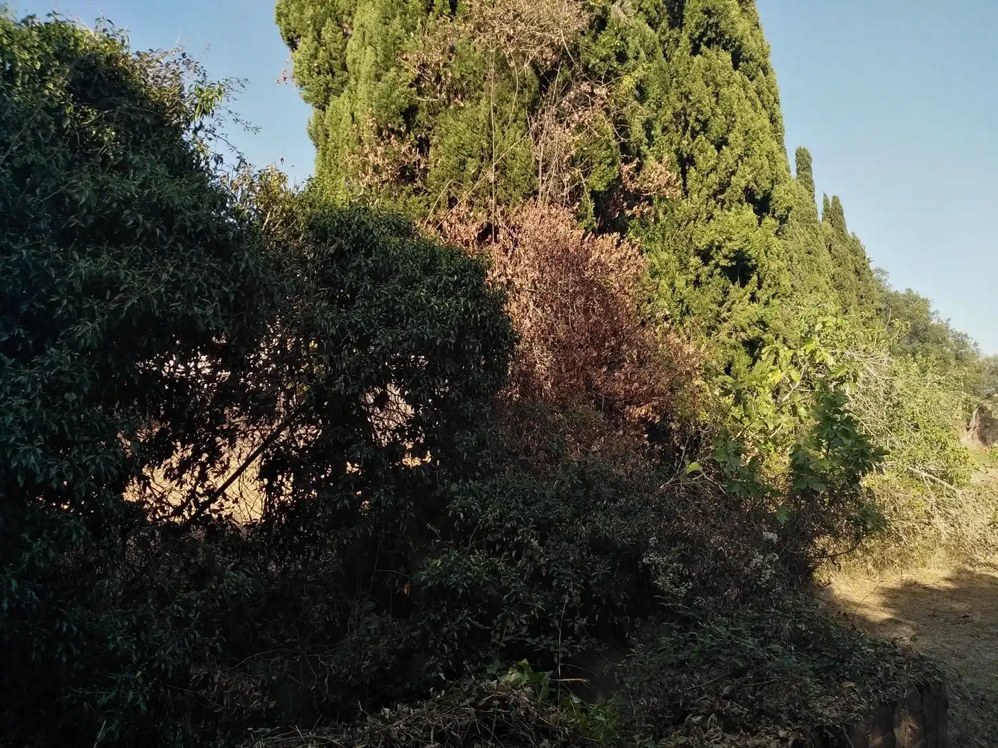 Terreno residencial en venta en Via del Carrilet, imagen 14