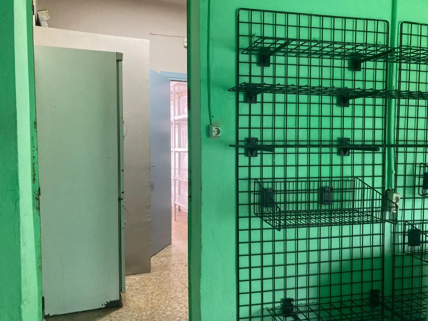 Gewerbefläche zur Miete in Lugar San Roque, imagen 11
