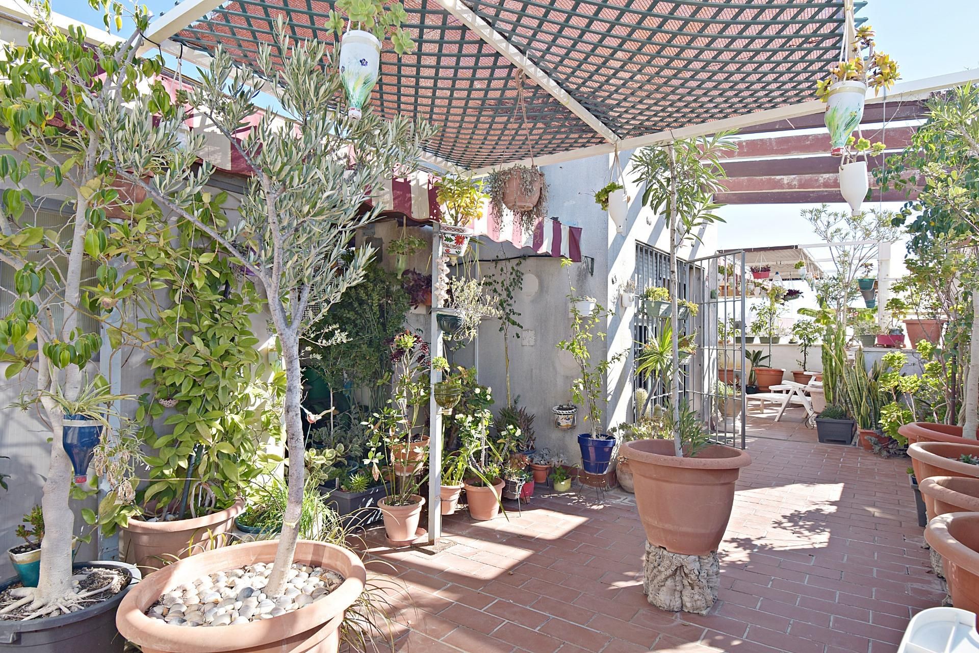 Terrassa de Àtic en venda en Puerto Real amb Aire condicionat, Jardí privat i Terrassa