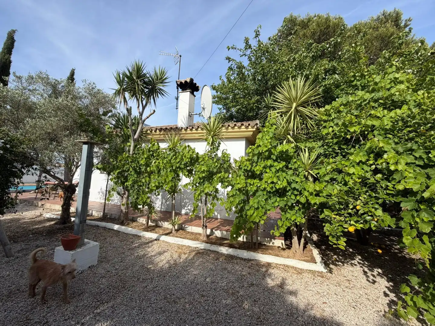 Garden of Houses for sale in Chiclana de la Frontera  with Private garden, Terrace and Storage room