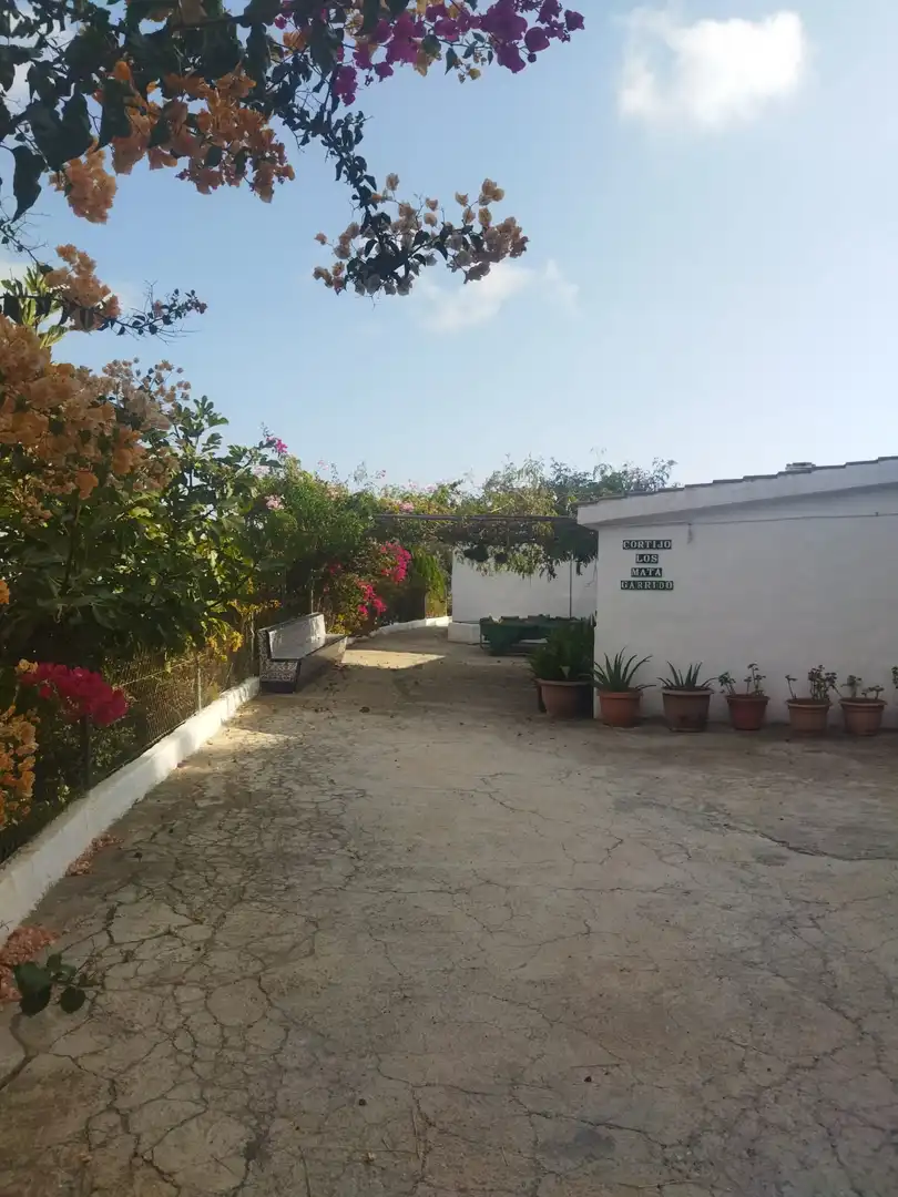 Finca rústica en venda en Almuñécar amb Jardí privat, Terrassa i Piscina