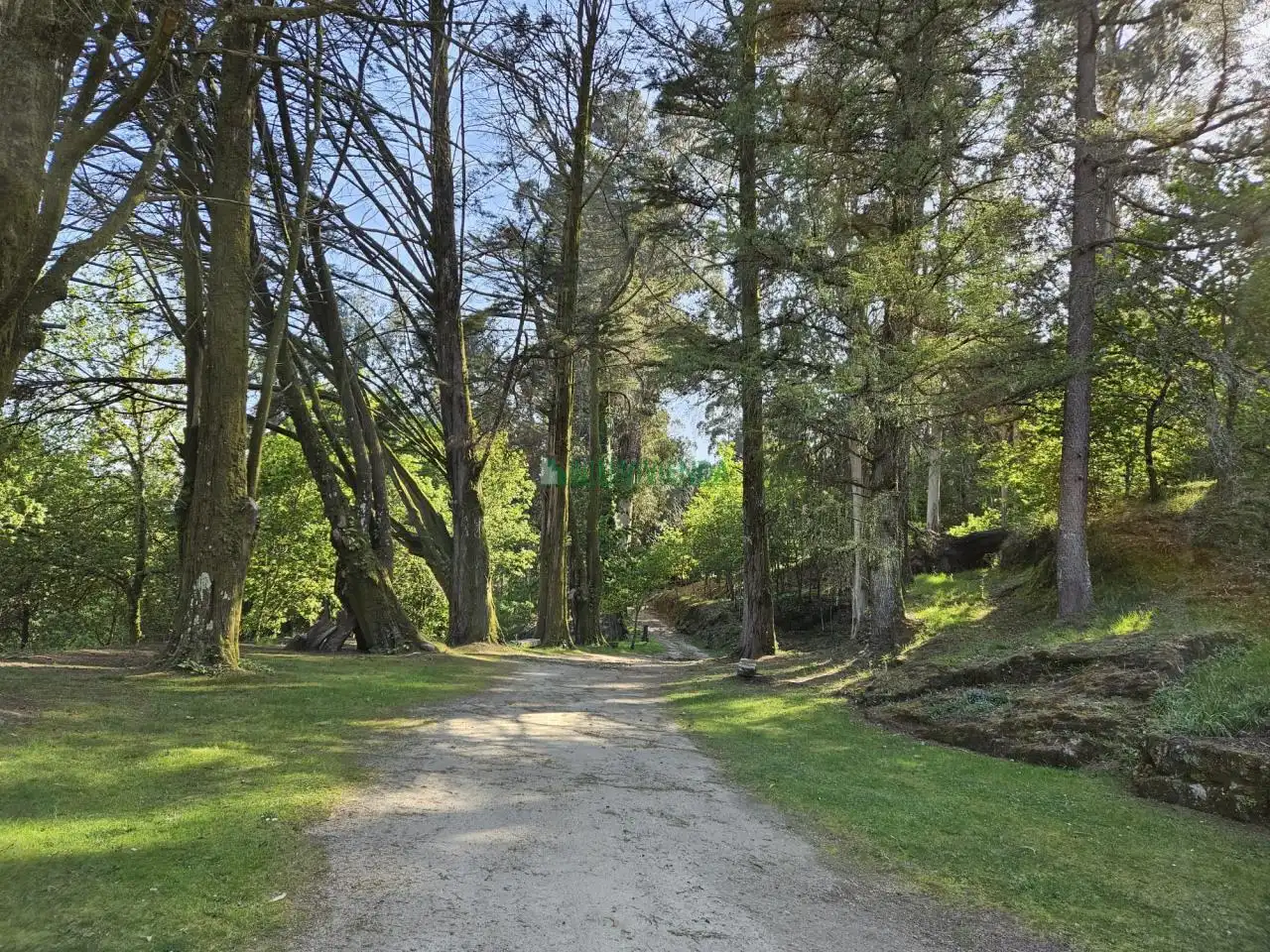 Vista exterior de Finca rústica en venta en A Cañiza   con Calefacción, Jardín privado y Terraza
