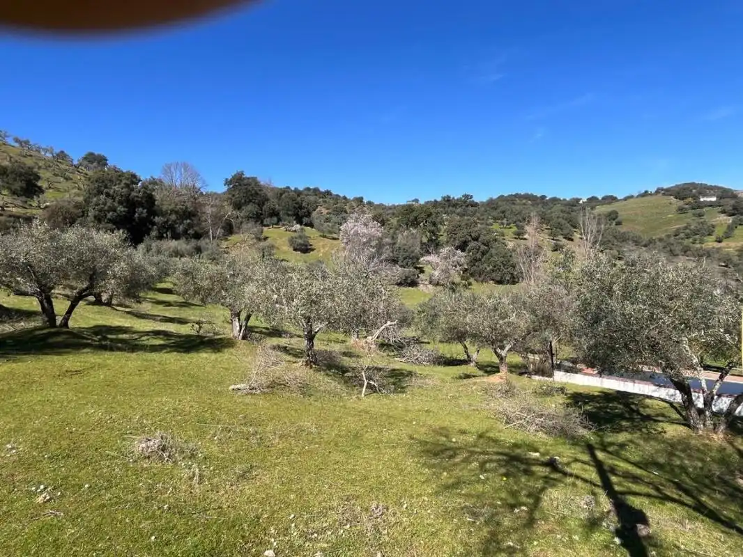 Casa rústica amb terrassa en venda a Cazalla de la Sierra, imagen 22
