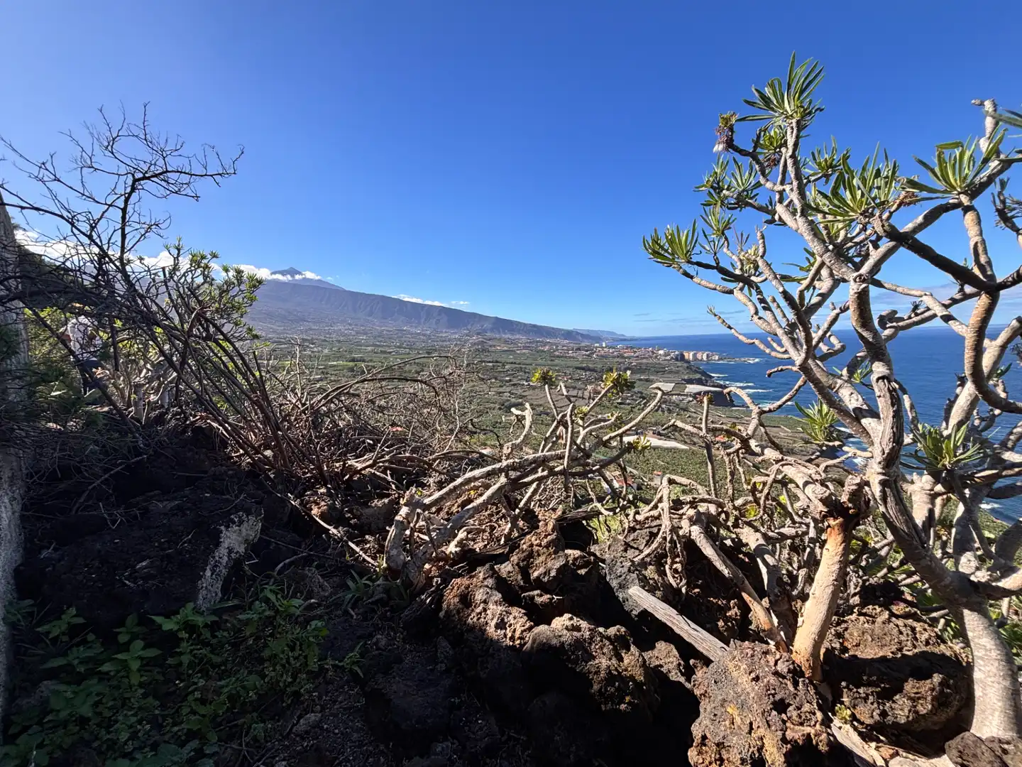 Terreno rustico in vendita a Camino de San Diego, imagen 17