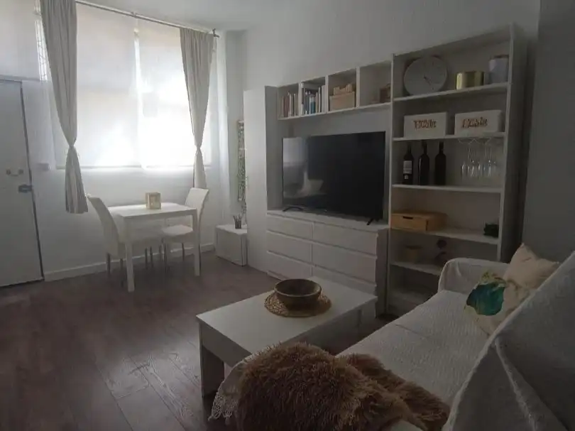 Sala d'estar de Pis de lloguer en Centro