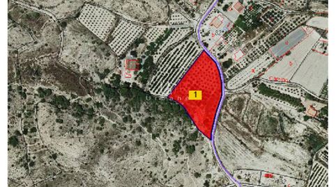 Foto 2 de Finca rústica en venta en Camino Fuente del Gilo, 14, Pedanías Este, Aspe