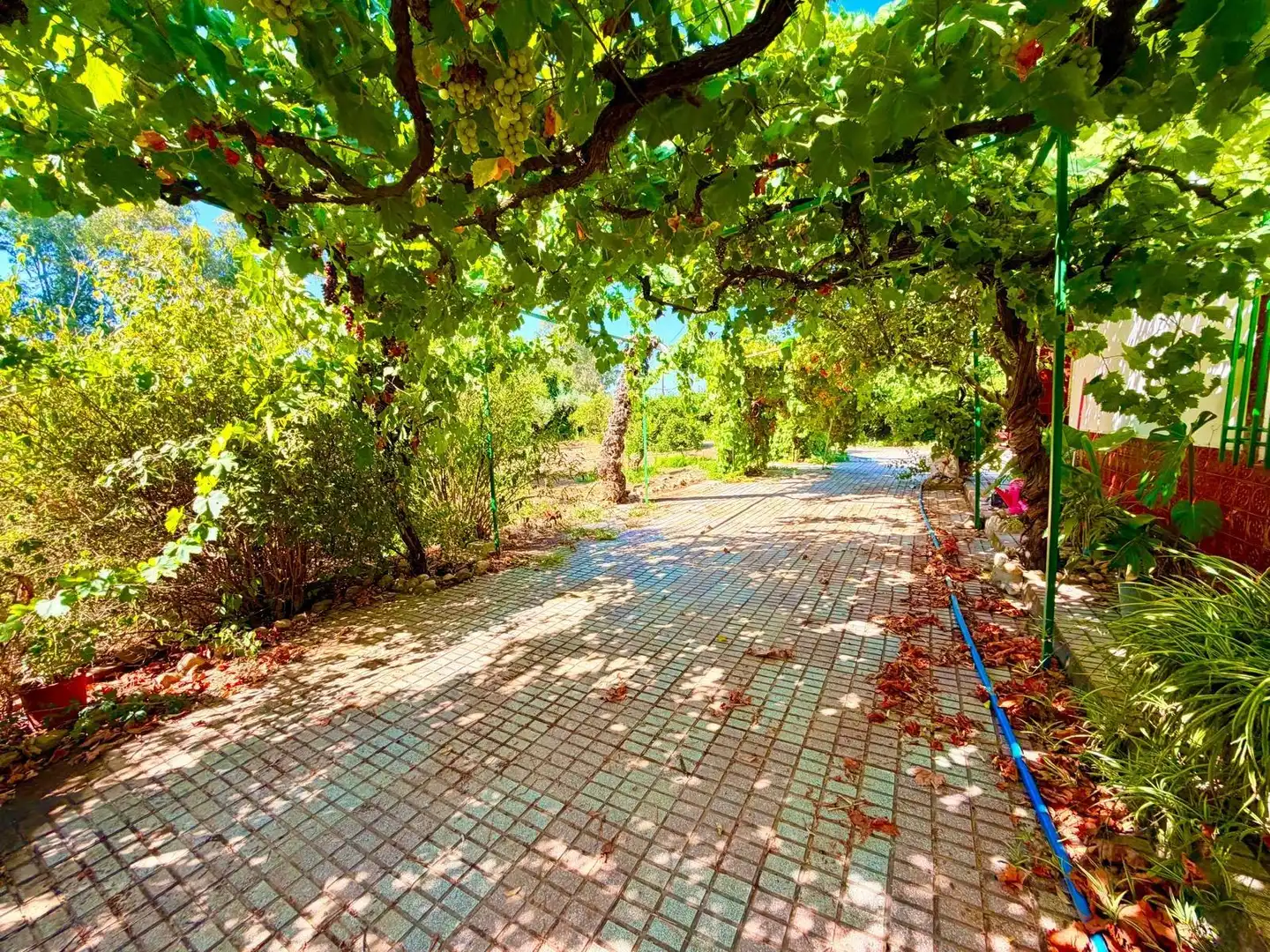 Vista exterior de Casa o chalet en venta en Valverde de Mérida con Jardín privado, Terraza y Trastero