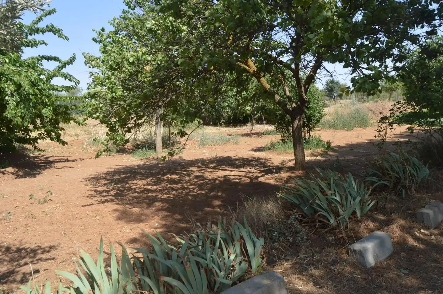 Terreni e lotti in vendita a Tarancón, imagen 4