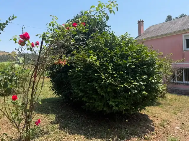 Country house zum Verkauf in Trabada mit Heizung, Privatgarten und Terrasse