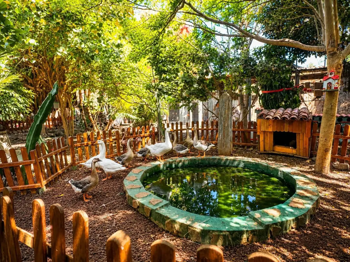 Jardí de Casa o xalet en venda en San Miguel de Abona amb Jardí privat, Traster i Piscina