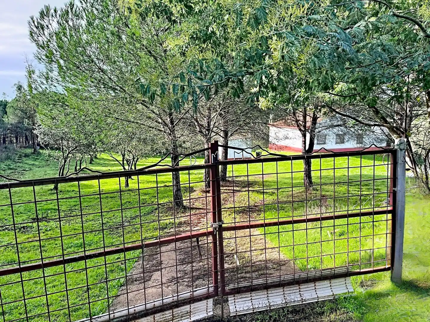 Chalet con jardín en venta en Diseminado Caballon 20, imagen 11